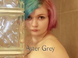 Aster_Grey