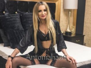 Antoniahaart