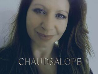 CHAUDSALOPE