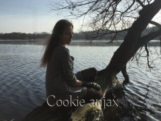 Cookie_anjax