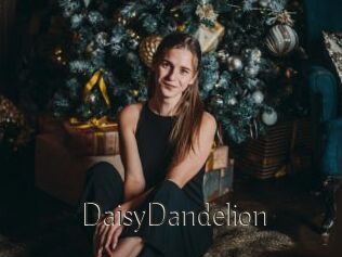 DaisyDandelion