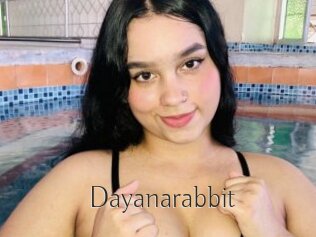 Dayanarabbit