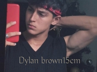 Dylan_brown15cm