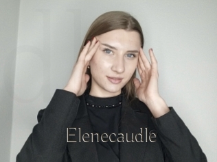 Elenecaudle