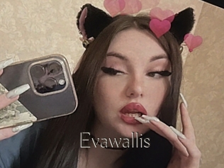 Evawallis