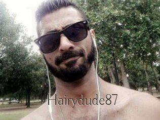 Hairydude87