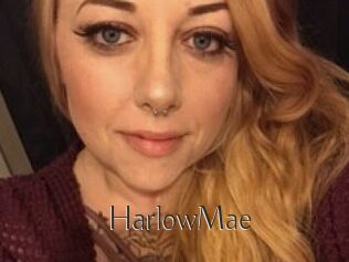 Harlow_Mae