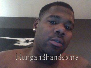 Hungandhandsome