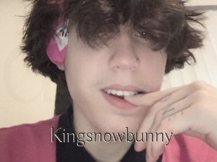 Kingsnowbunny