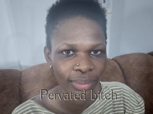 Pervated_bitch