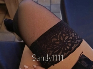 Sandy1111