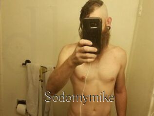 Sodomymike