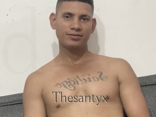 Thesantyx